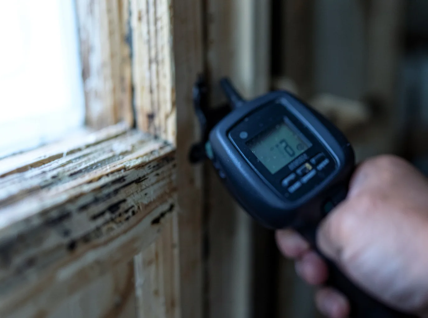 Moisture Inspection And Documentation in Ricetown, KY